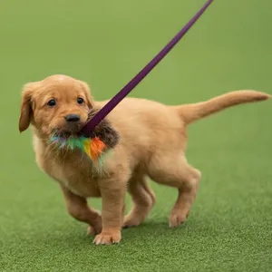Hovedbilde Doggie-Zen Lang jaktleke med pip og beverpels