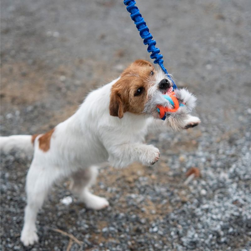 Doggie-Zen Kampleke med Chuckit Breathe og kaninpels
