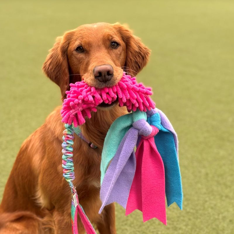 Dog's Craft fluffy mopp med pip