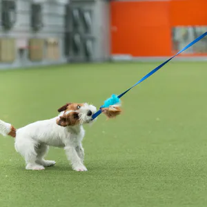 Hovedbilde Doggie-Zen Liten blekksprut jaktleke med sau og ...