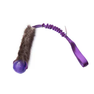 Hovedbilde Doggie-zen Kampleke med bever og kong squeezz