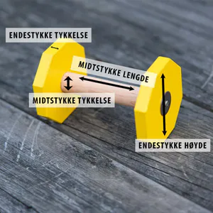 Hovedbilde Internasjonal apport til lydighet