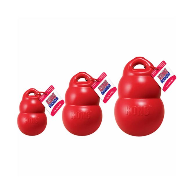 Hovedbilde KONG Bounzer