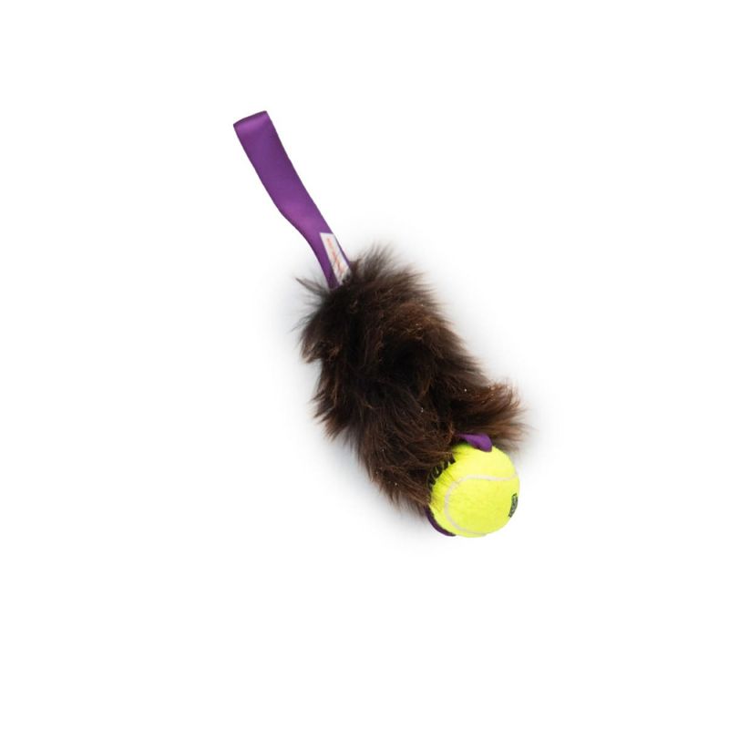 Doggie-zen Kampleke sau med KONG air pipeball