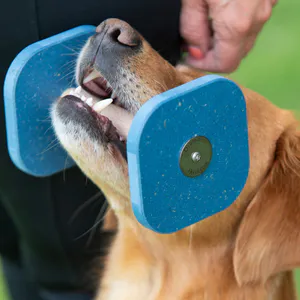 Hovedbilde Gjennomfarget apport firkantet