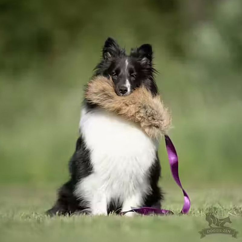 Doggie-Zen Jaktleke med rev