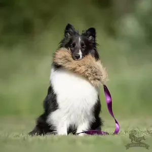 Hovedbilde Doggie-Zen Jaktleke med rev