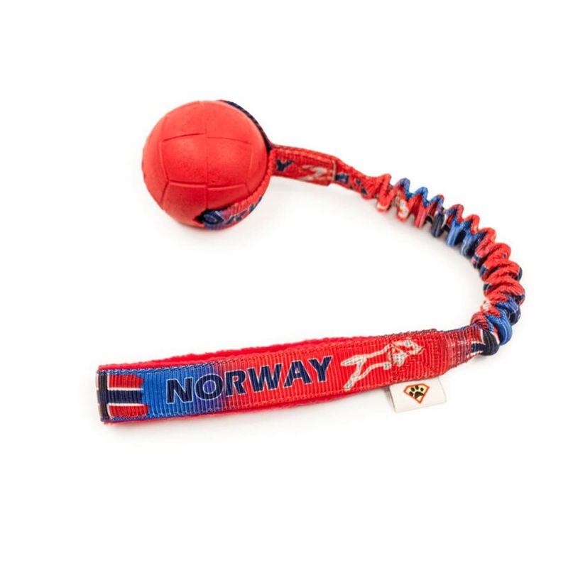 Dog's Craft Kampleke med hoko ball og norsk flagg
