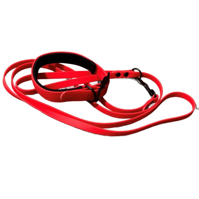 Mystique Hexa collar deluxe
