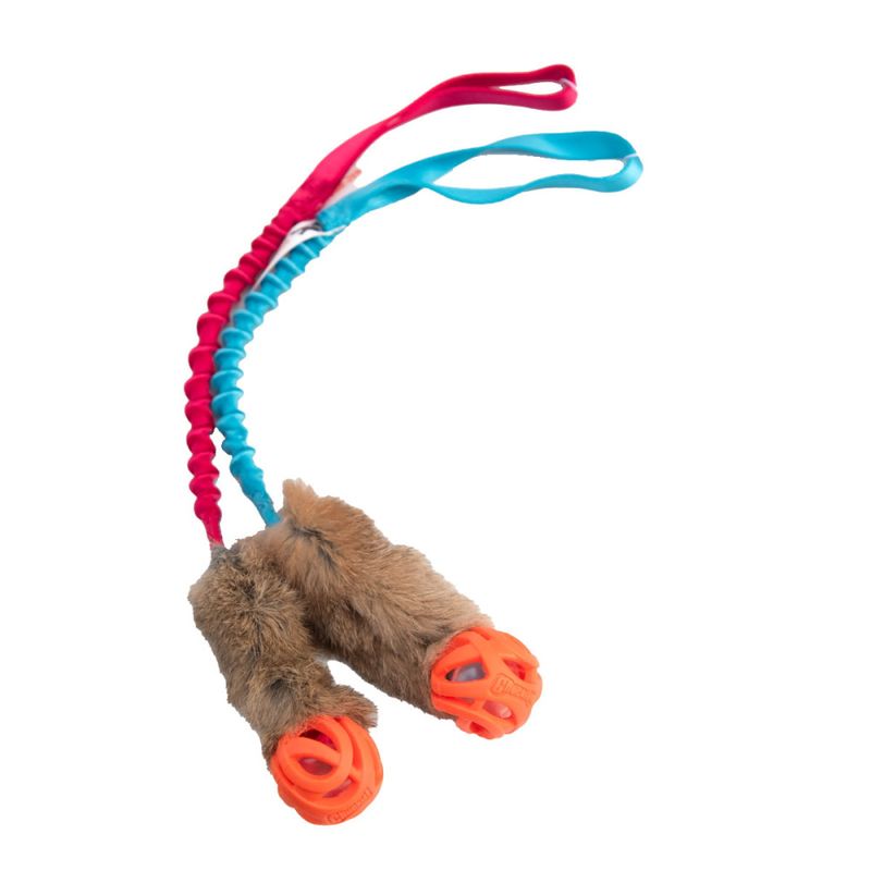 Doggie-zen Kaninkampleke med Chuckit Breathe