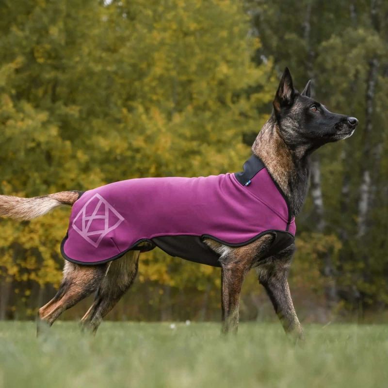 HUNDLANDS Sport fleecedekken