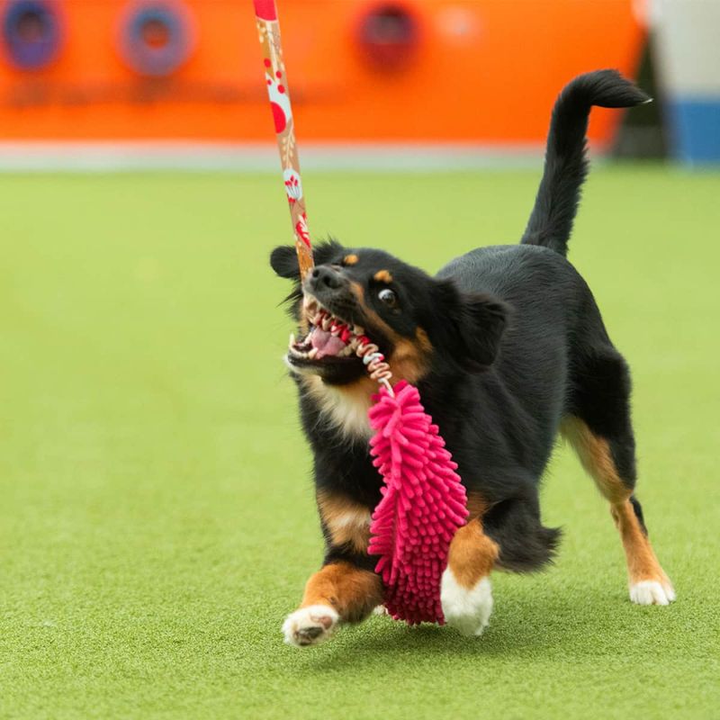 Zayma Lang Mop med pip