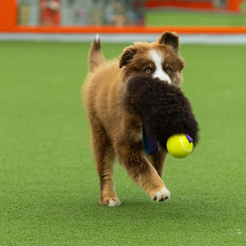 Zayma Sheepskin tennis