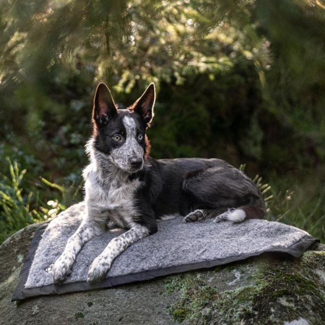 Hovedbilde HUNDLANDS HIKING ullmatte