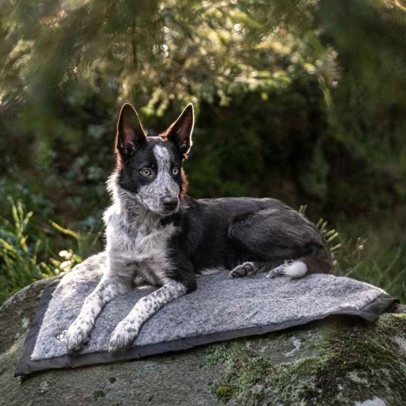 HUNDLANDS HIKING ullmatte