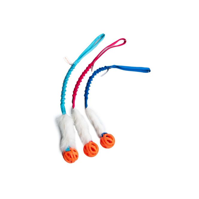 Hovedbilde Doggie-zen Kaninkampleke med Chuckit Breathe