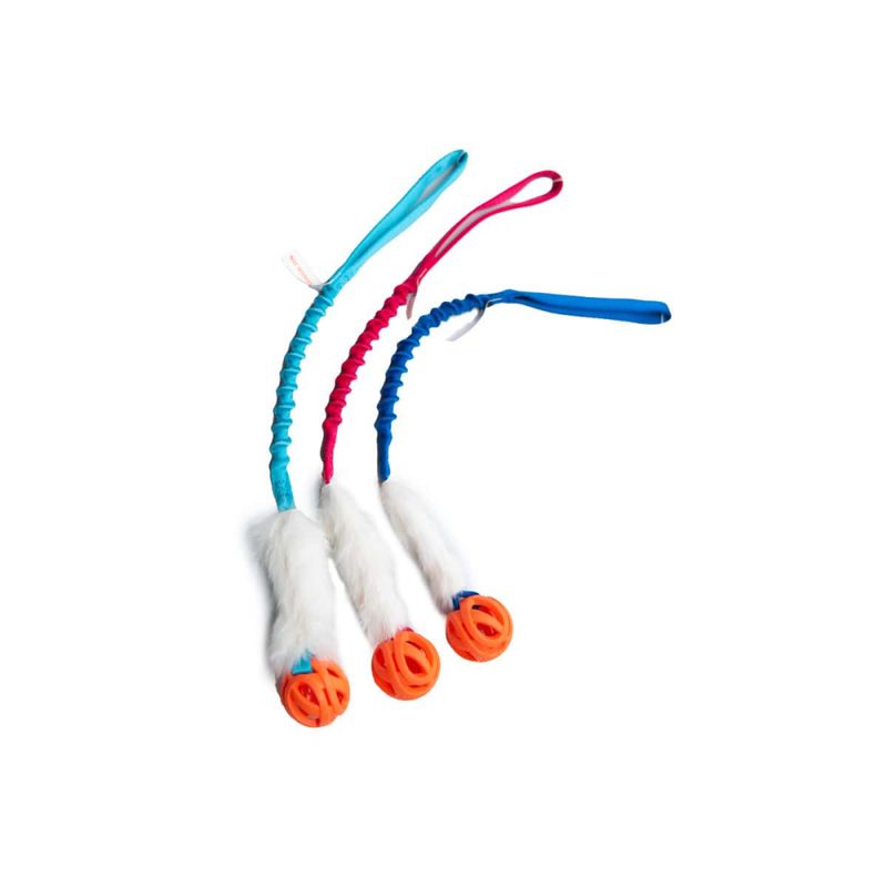 Doggie-zen Kaninkampleke med Chuckit Breathe