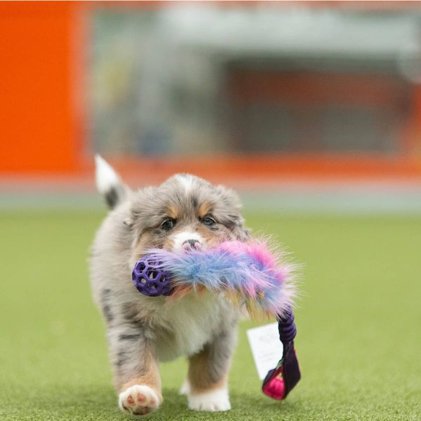 Zayma Hol-ee Roller med enhj&oslash;rningspels