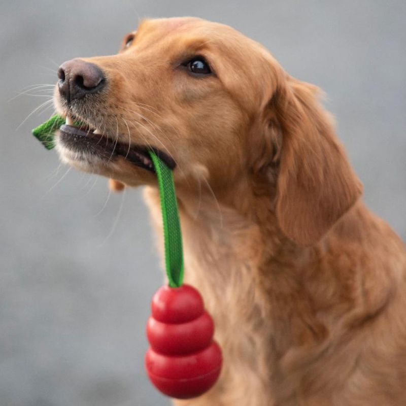 Doggie-Zen Sure grip KONG classic