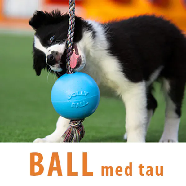 ball med tau leke til hund
