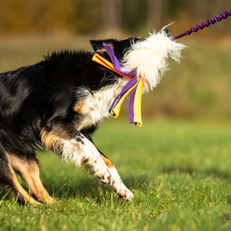 Doggie-zen Saueskinnsleke med fleecehaler