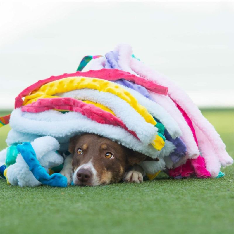 Dog's Craft octupus