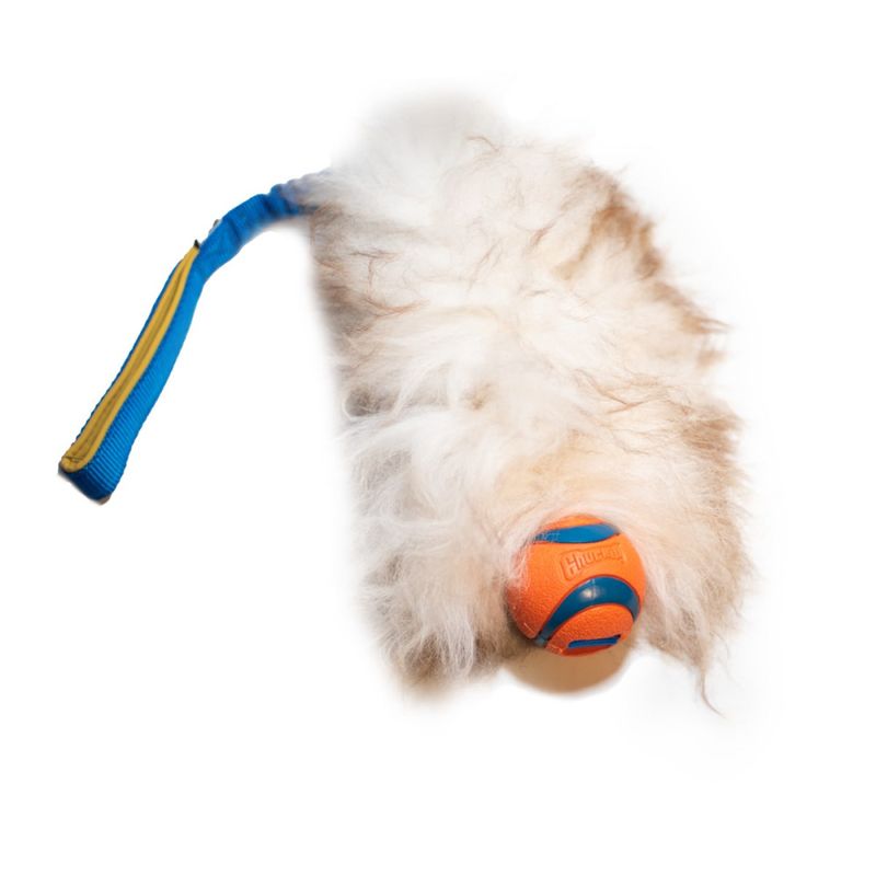 Zayma Drakampleke med saueskinn og Chuckit Ultra ball